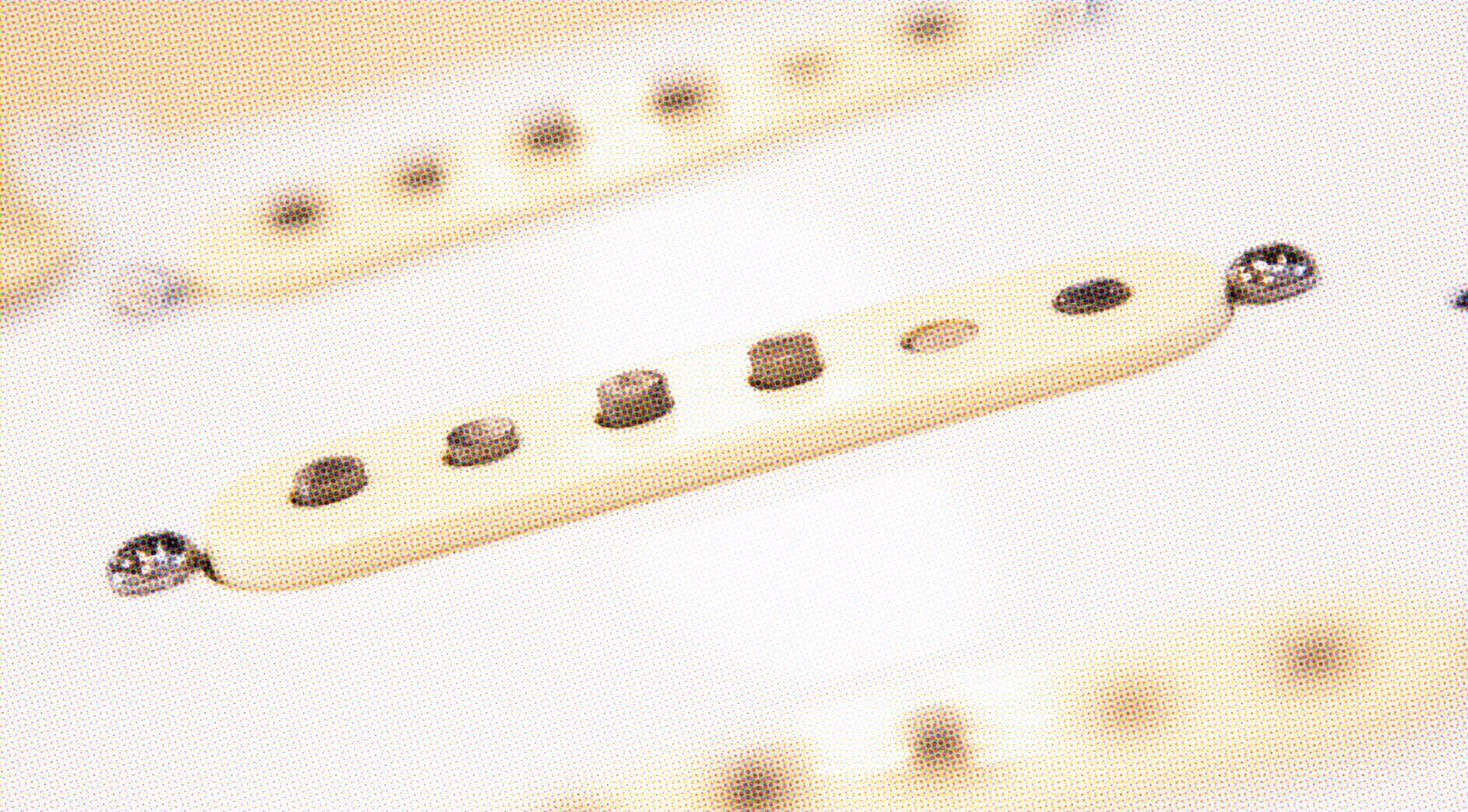 Two nickel-covered humbucking pickups mounted on the deep red mahogany body of an electric guitar, with the strings running across their pole pieces toward the bridge.