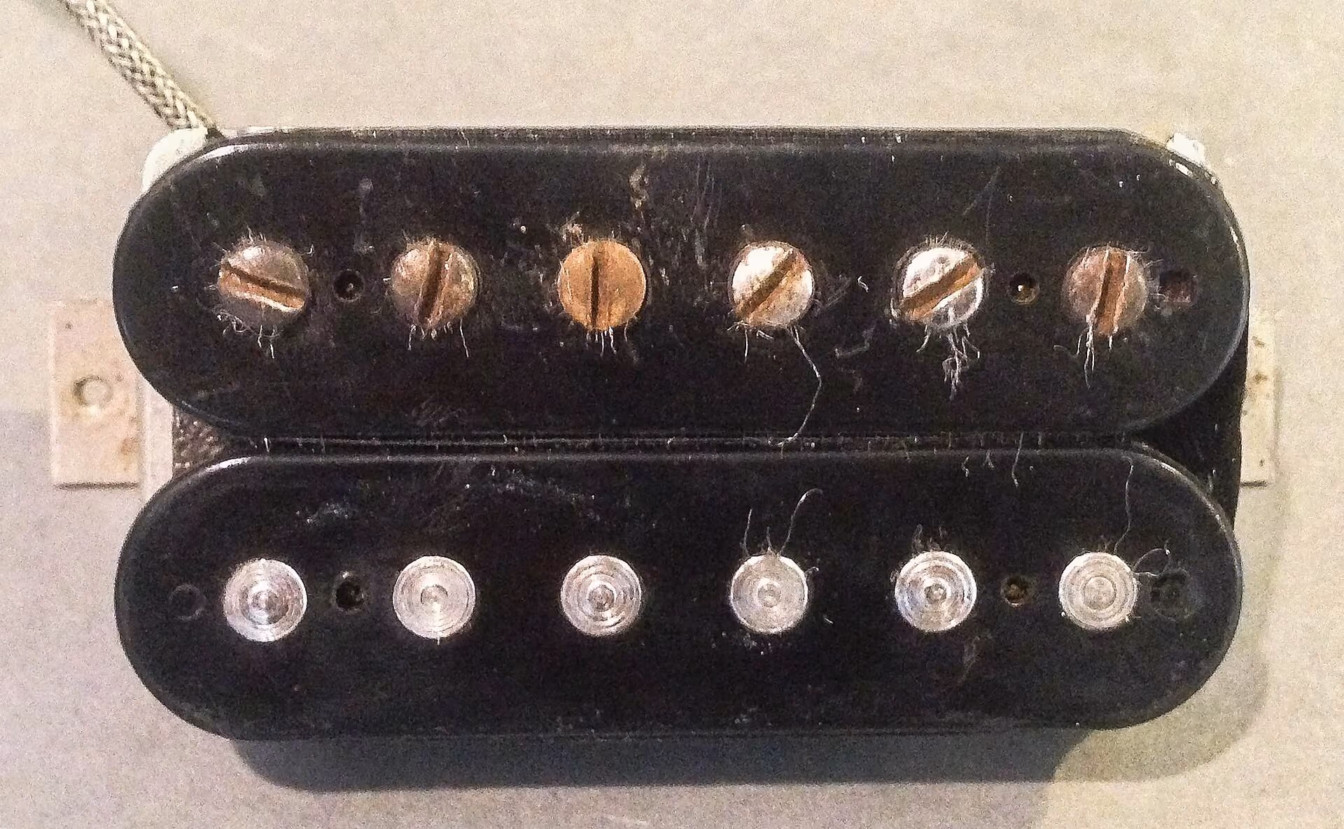 A humbucking pickup with its metal cover removed, seen from above: two black bobbins side by side, one carrying six adjustable slotted screw poles and the other six smooth cylindrical slugs.