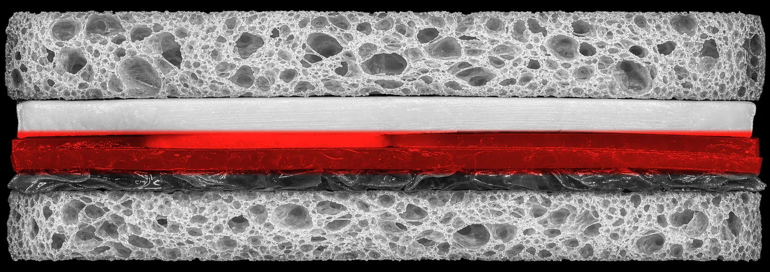 A cut cross-section of a sandwich, photographed as a laboratory specimen scan: two slices of bread with an open, airy crumb enclosing a pale slice of cheese and two layers of folded sliced meat. The specimen is greyscale apart from one meat layer, which is bright red.
