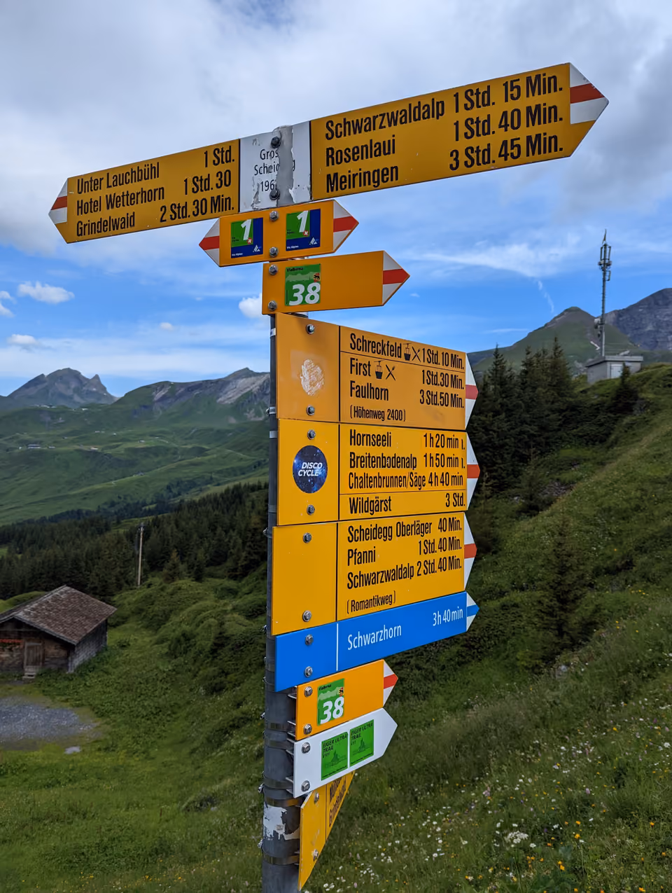A hiking trail signpost in the Swiss Alps marking the way back, at a junction of several paths