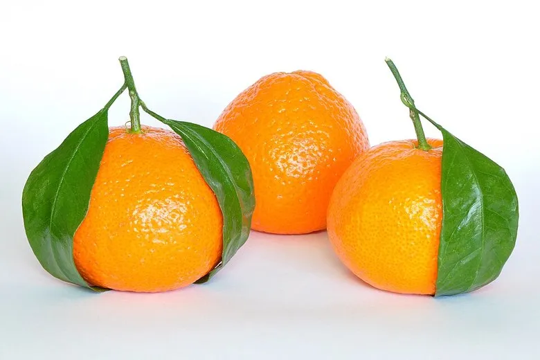Oranges, one of the five fruits in this week's nutrition table