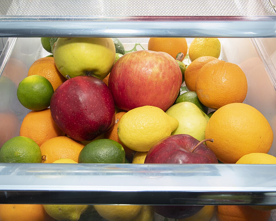 A refrigerator crisper drawer packed with apples, oranges, lemons and limes