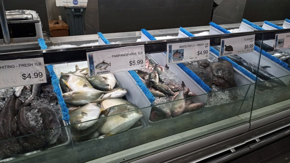 Whole fish of several species laid in beds of crushed ice at a supermarket fish counter, each priced by the pound