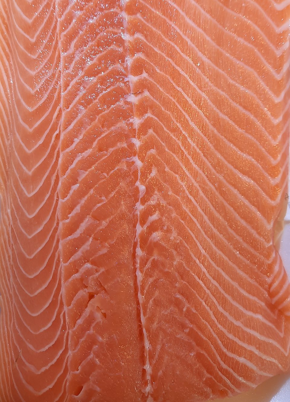 Close-up of a raw salmon fillet showing the pale, zig-zag seams between myotomes running across the flesh