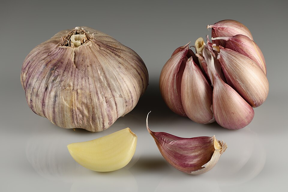 Two garlic bulbs beside a peeled ivory clove and an unpeeled purple-skinned clove, showing the layers a cut or crush would rupture