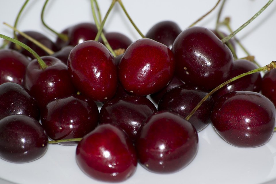 A pile of cherries, non-climacteric fruit stored cold from the start rather than ripened on the counter