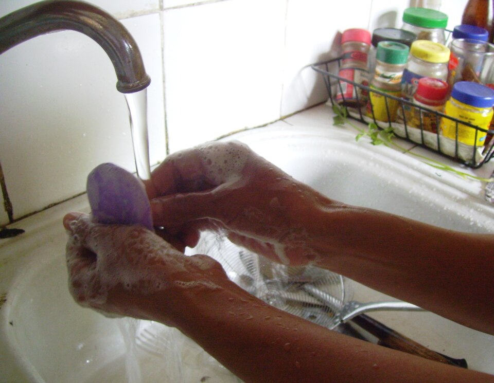 A person washing hands with soap under running water at a sink, the clean and separate steps of the four-step food safety framework