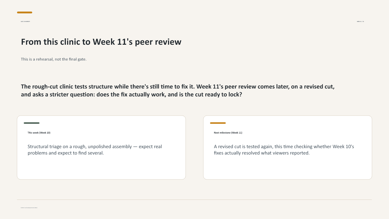 Slide 22 of 27: Week 10 Rough-Cut Clinic