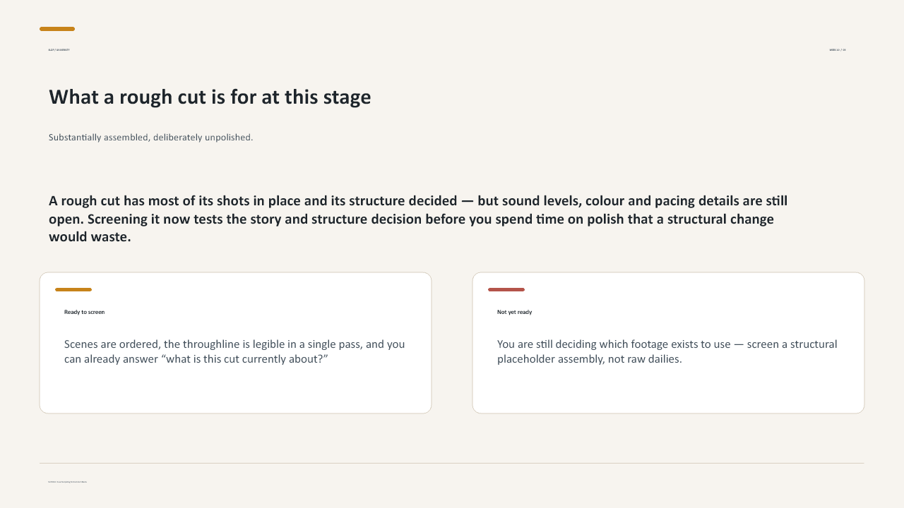 Slide 3 of 27: Week 10 Rough-Cut Clinic
