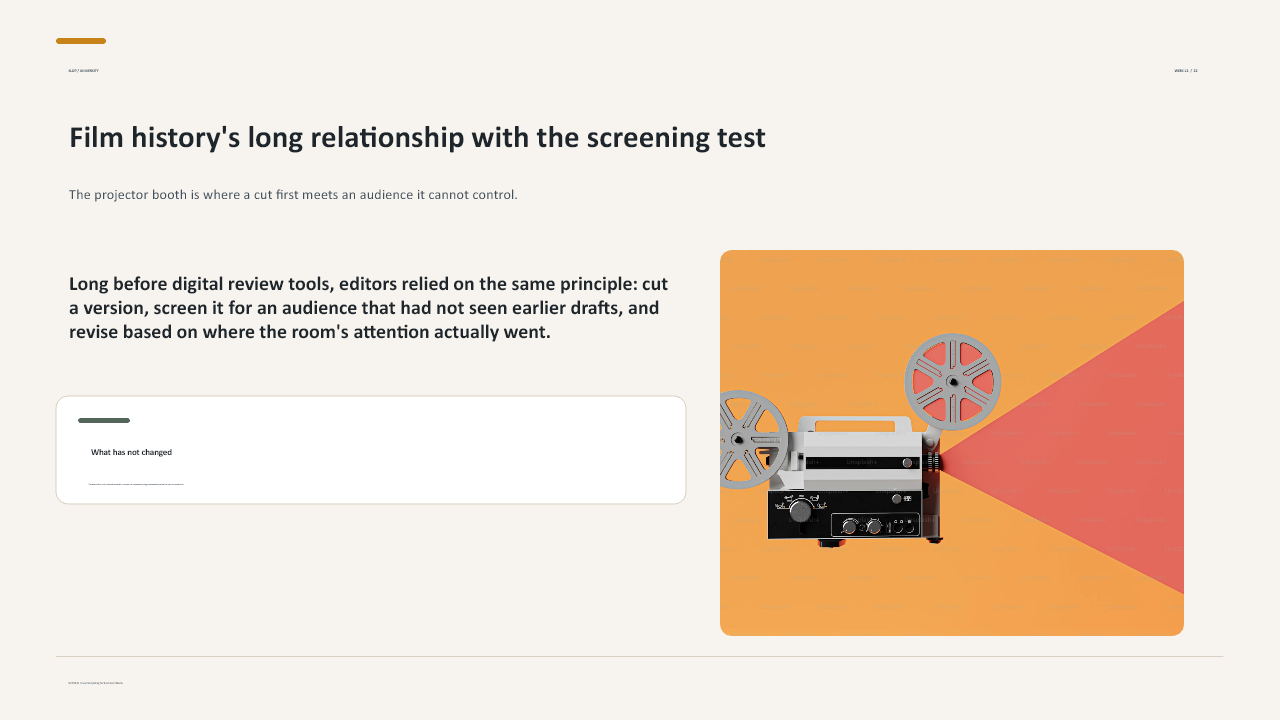 Slide 22 of 27: Week 12 Screening and Portfolio