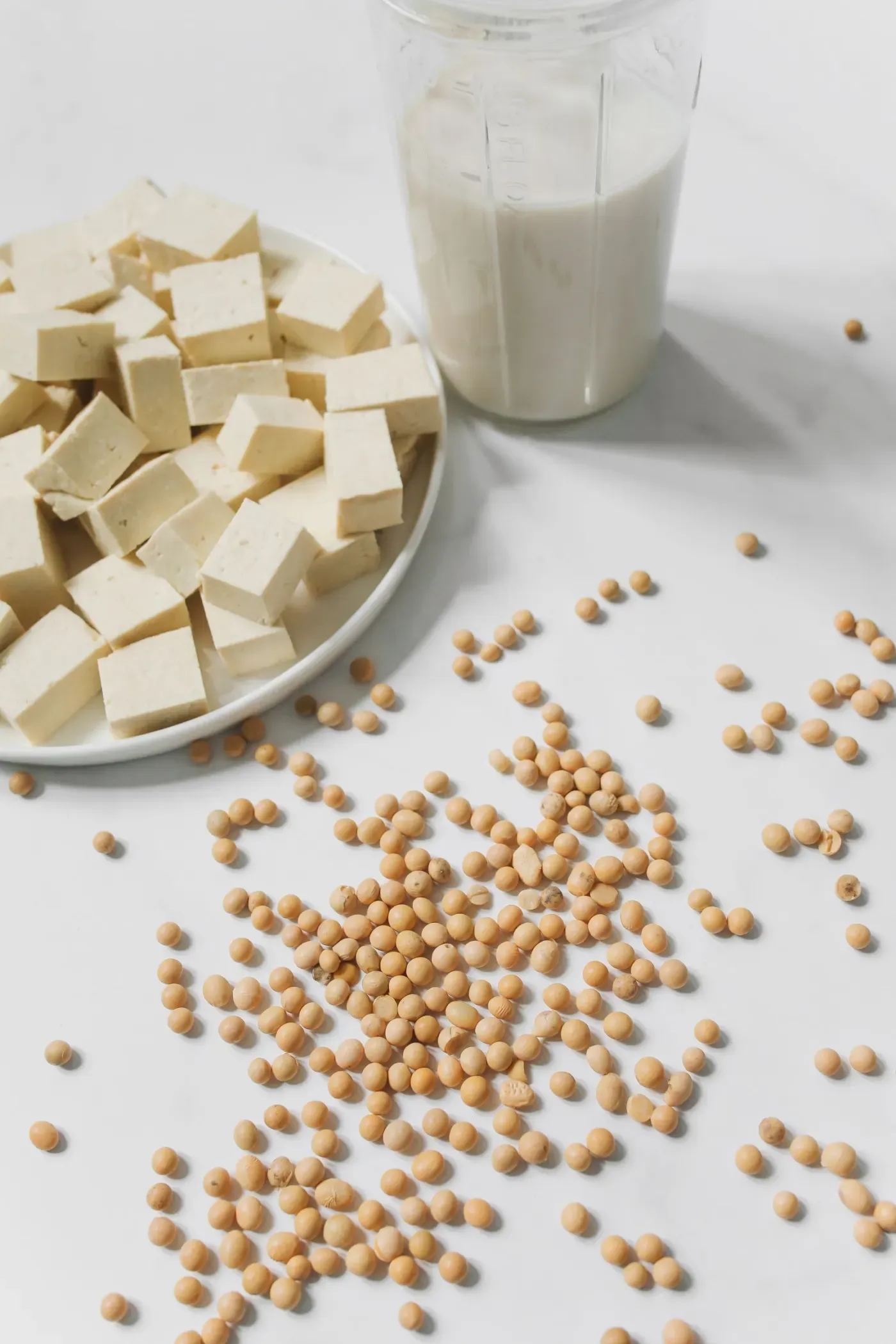 Close-up of tofu, soybeans and soy milk showing the protein gel's texture